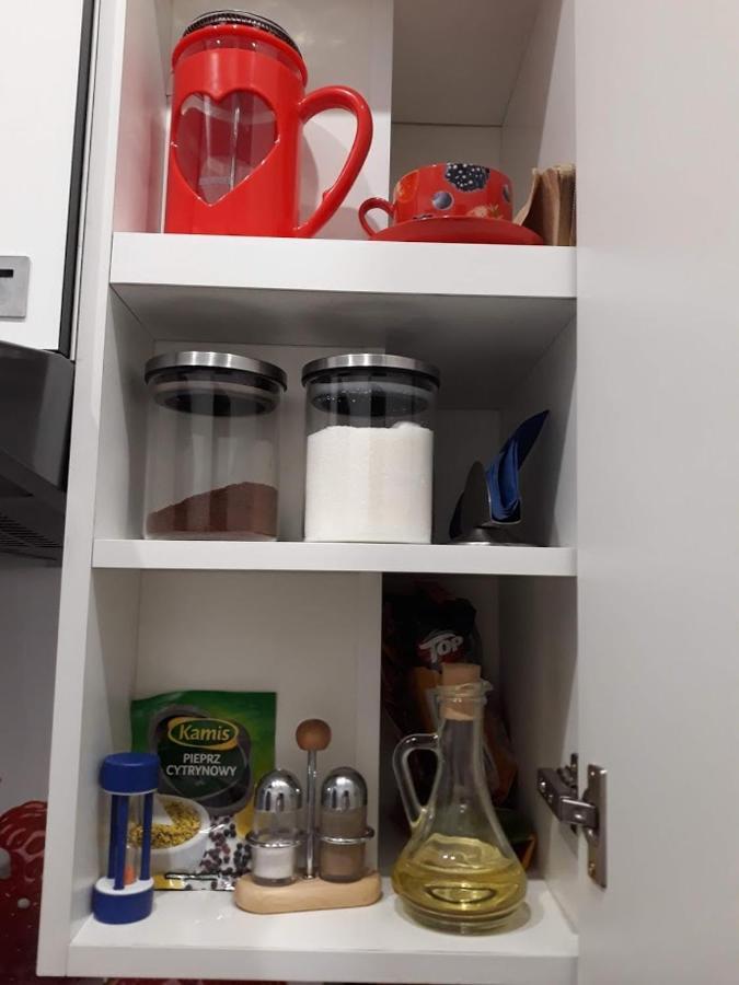 Apartament W Sercu Warmii II Olštýn Exteriér fotografie